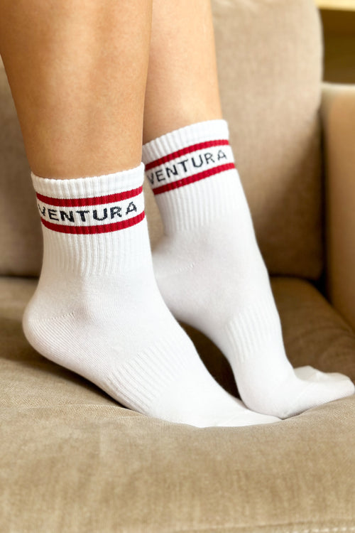 Ventura Socks (Burgundy/Navy)